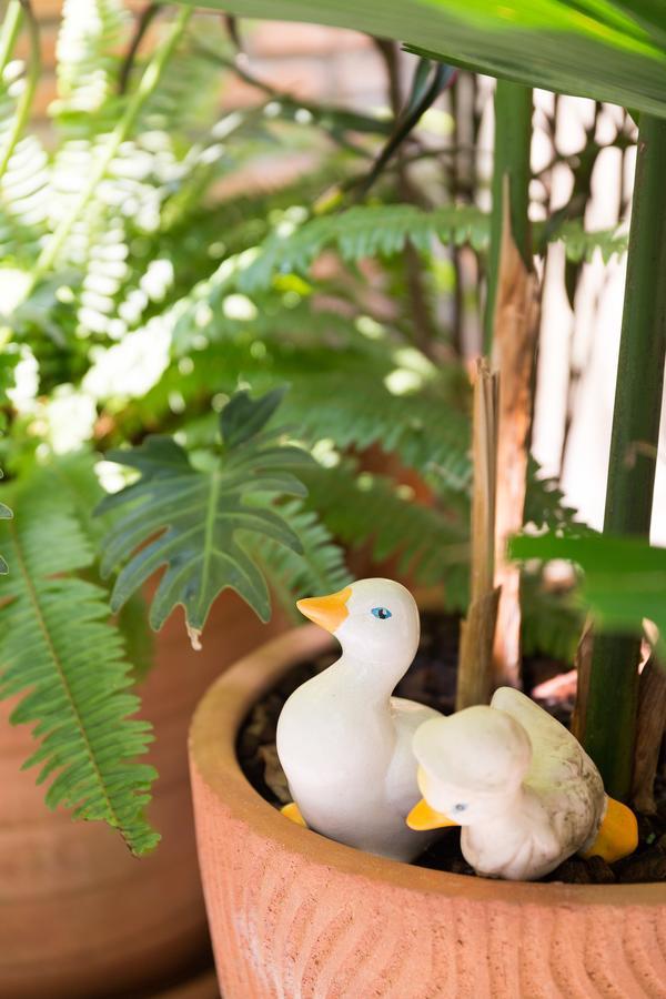 The Tippanet Hotel Chiang Mai (Adults Only) Extérieur photo